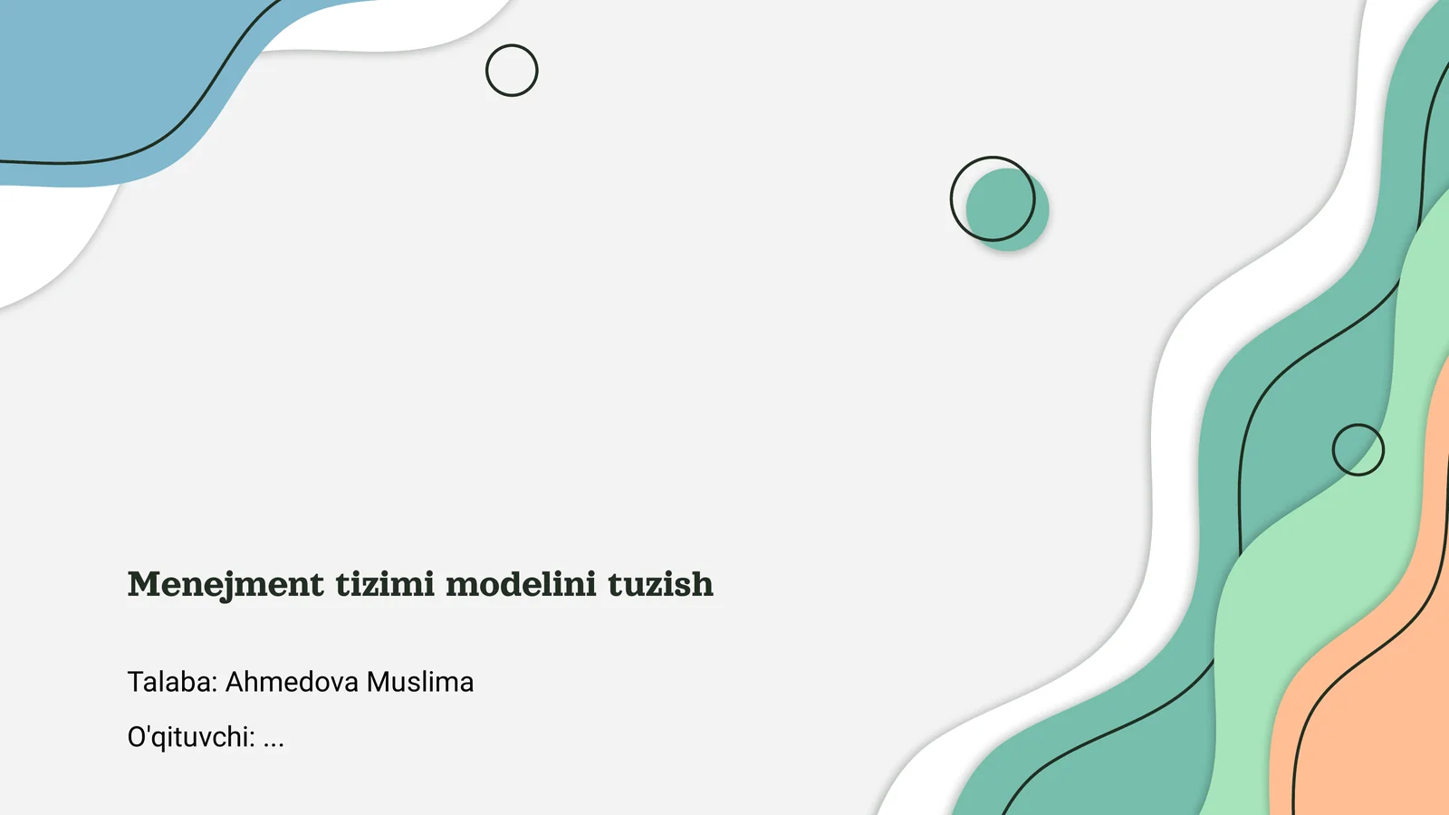 Menejment tizimi modelini tuzish