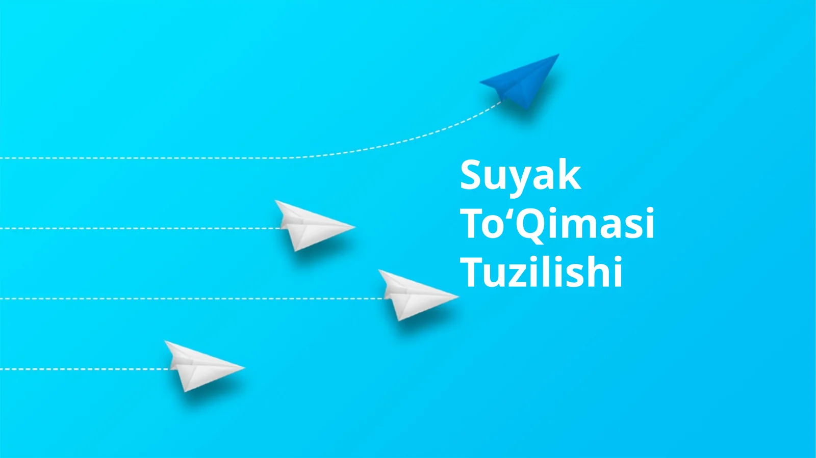 Suyak ToʻQimasi Tuzilishi