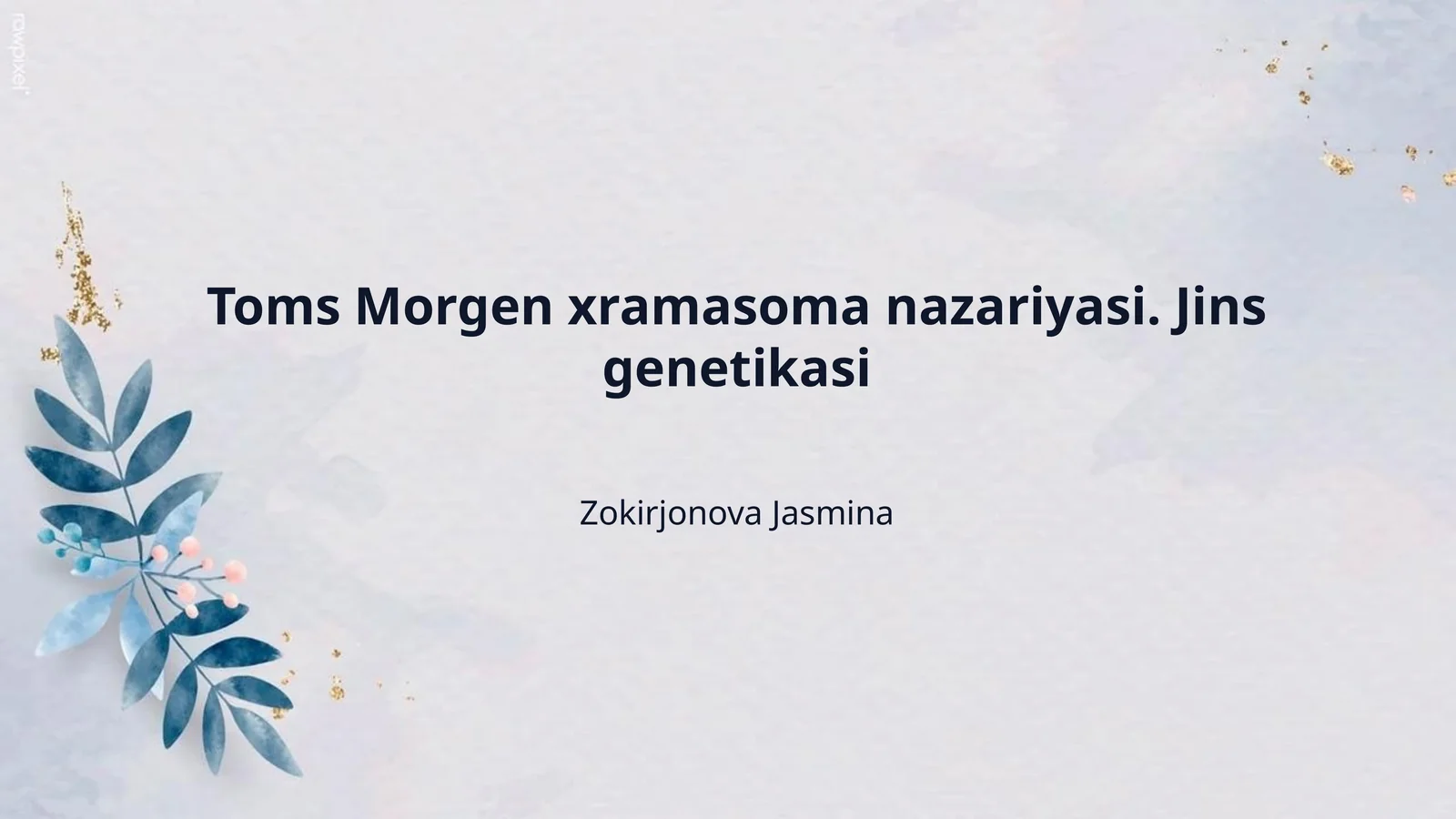 Toms Morgen xramasoma nazariyasi. Jins genetikasi