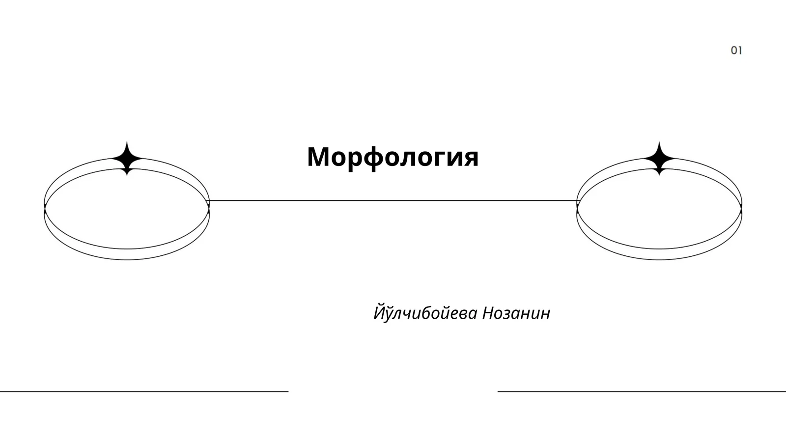 Морфология