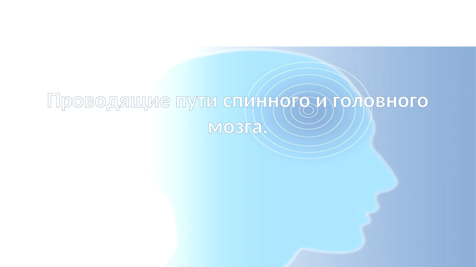 Проводящие пути спинного и головного мозга