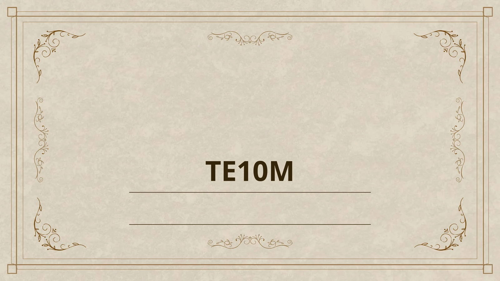 TE10M