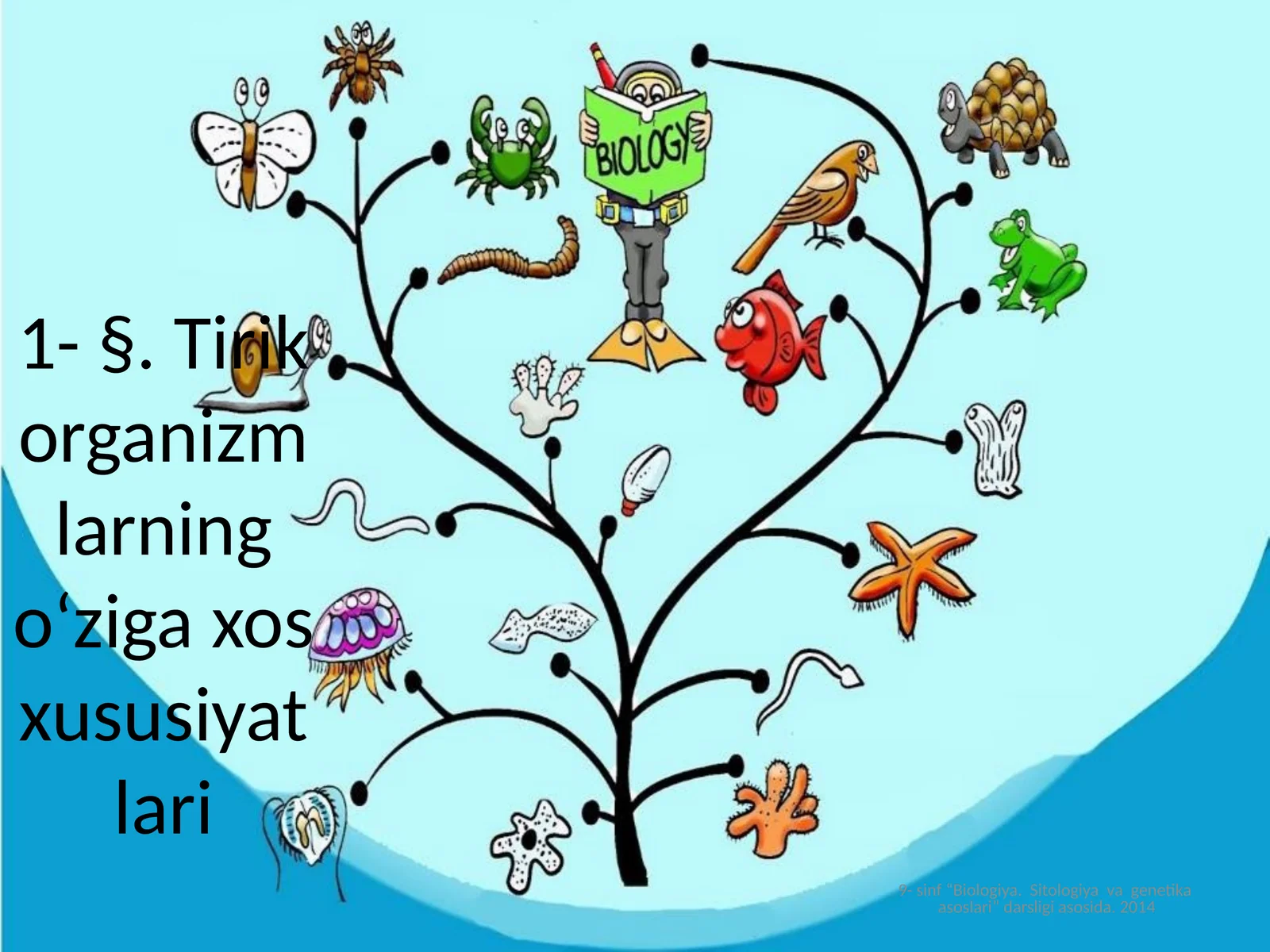 Sinflar bo'yicha biologiya darsi