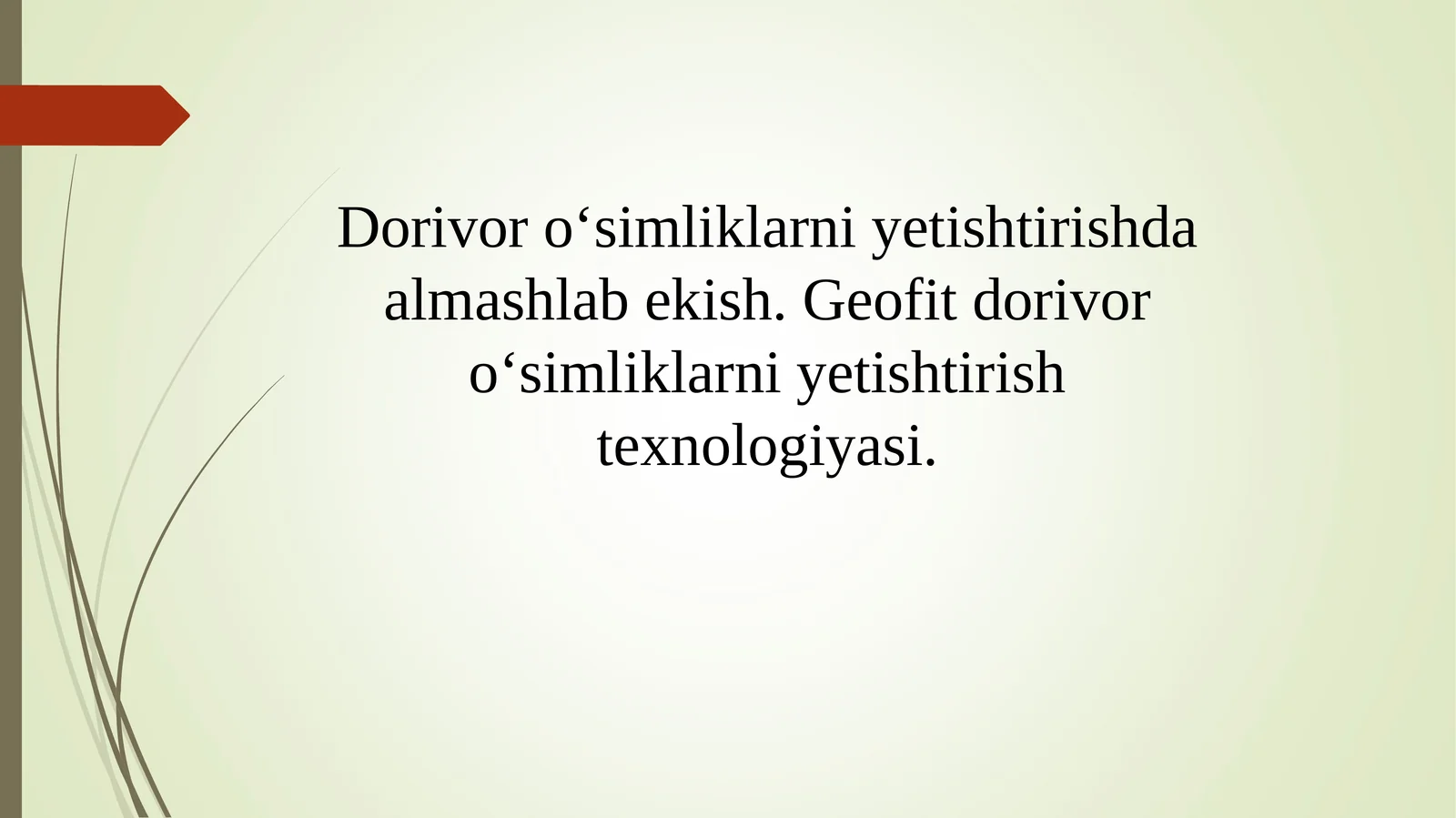 Geofit dorivor o‘simliklarni yetishtirish texnologiyasi