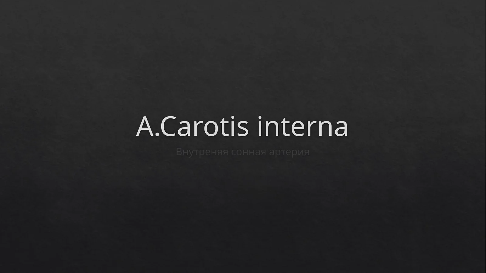 A.Carotisinterna