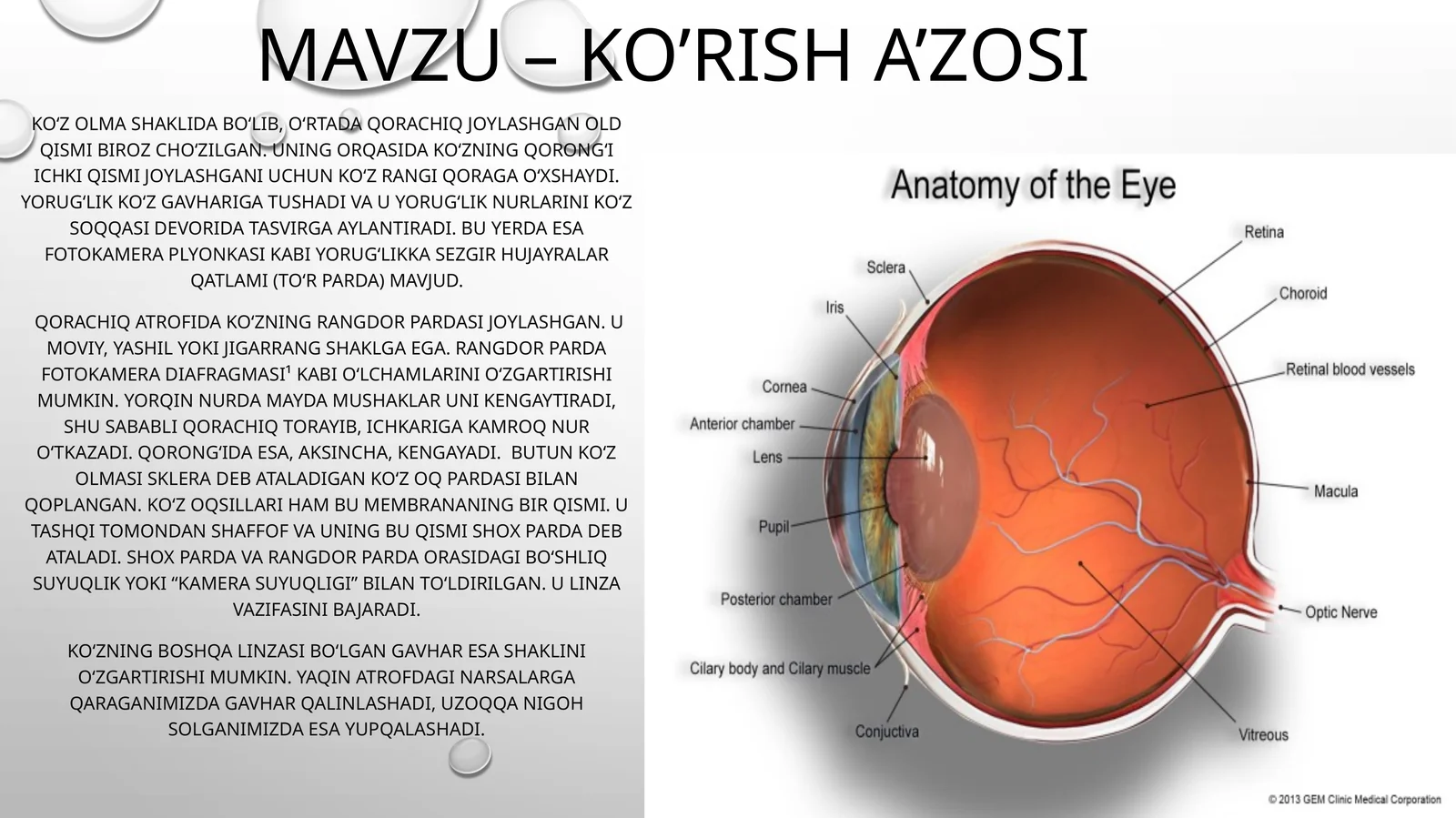 Qorachiq qoʻz parda