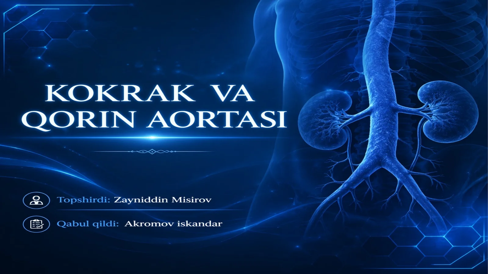 Kokrak va qorin aortasi