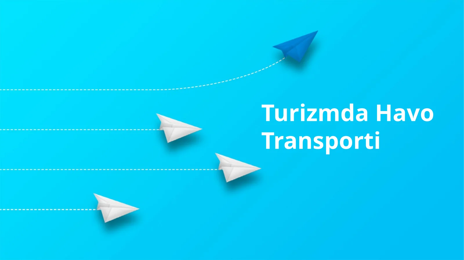 Turizmda Havo Transporti