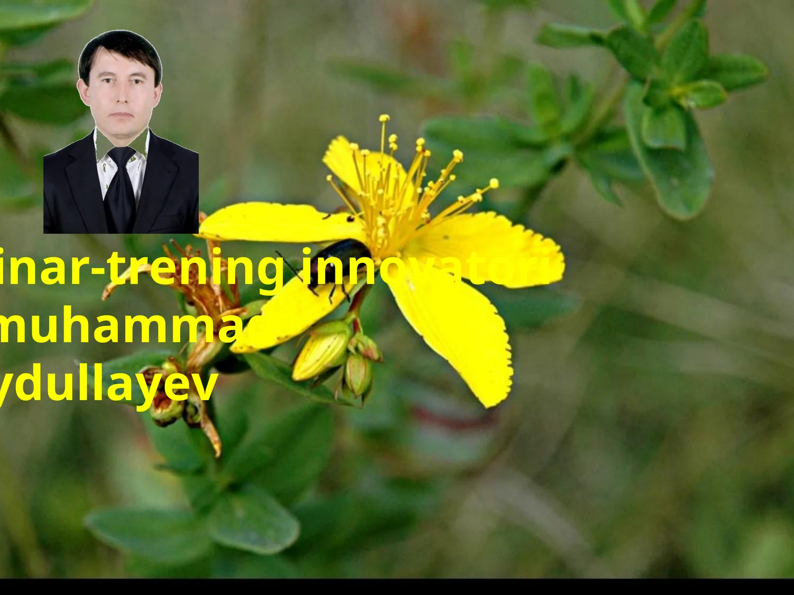Sayfi Saroyining g`azallari