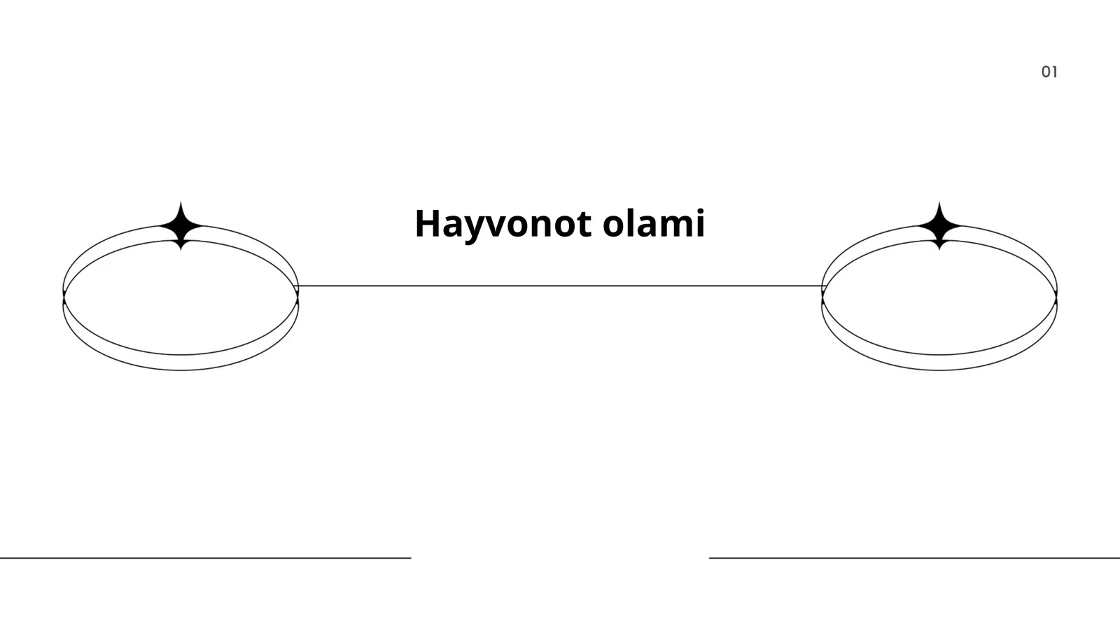 Hayvonot olami