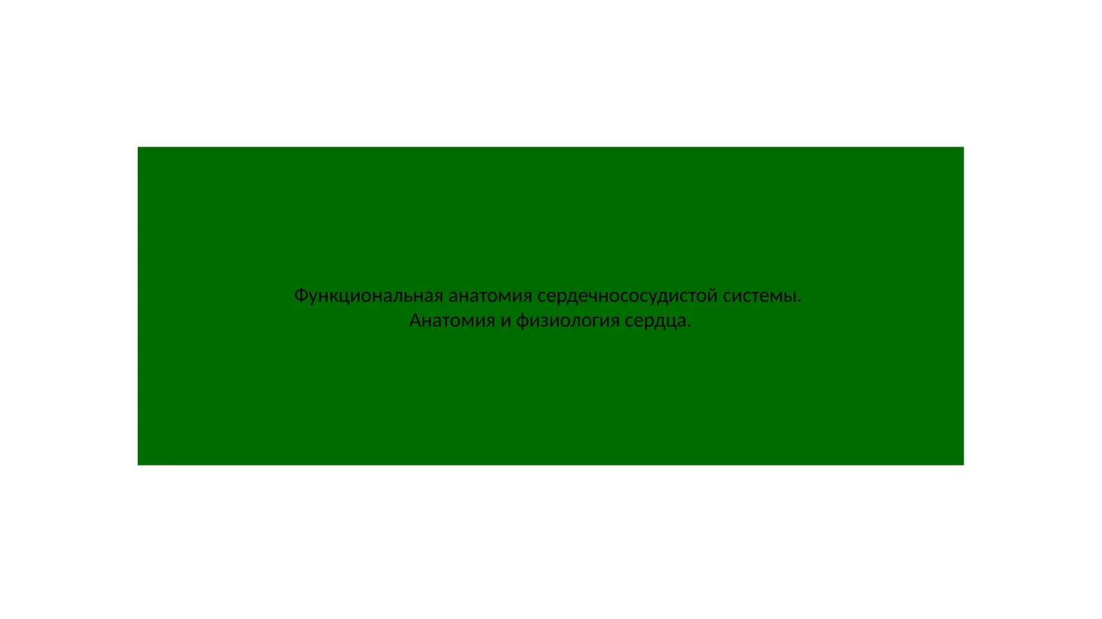 Функциональная анатомия сердечнососудистой системы