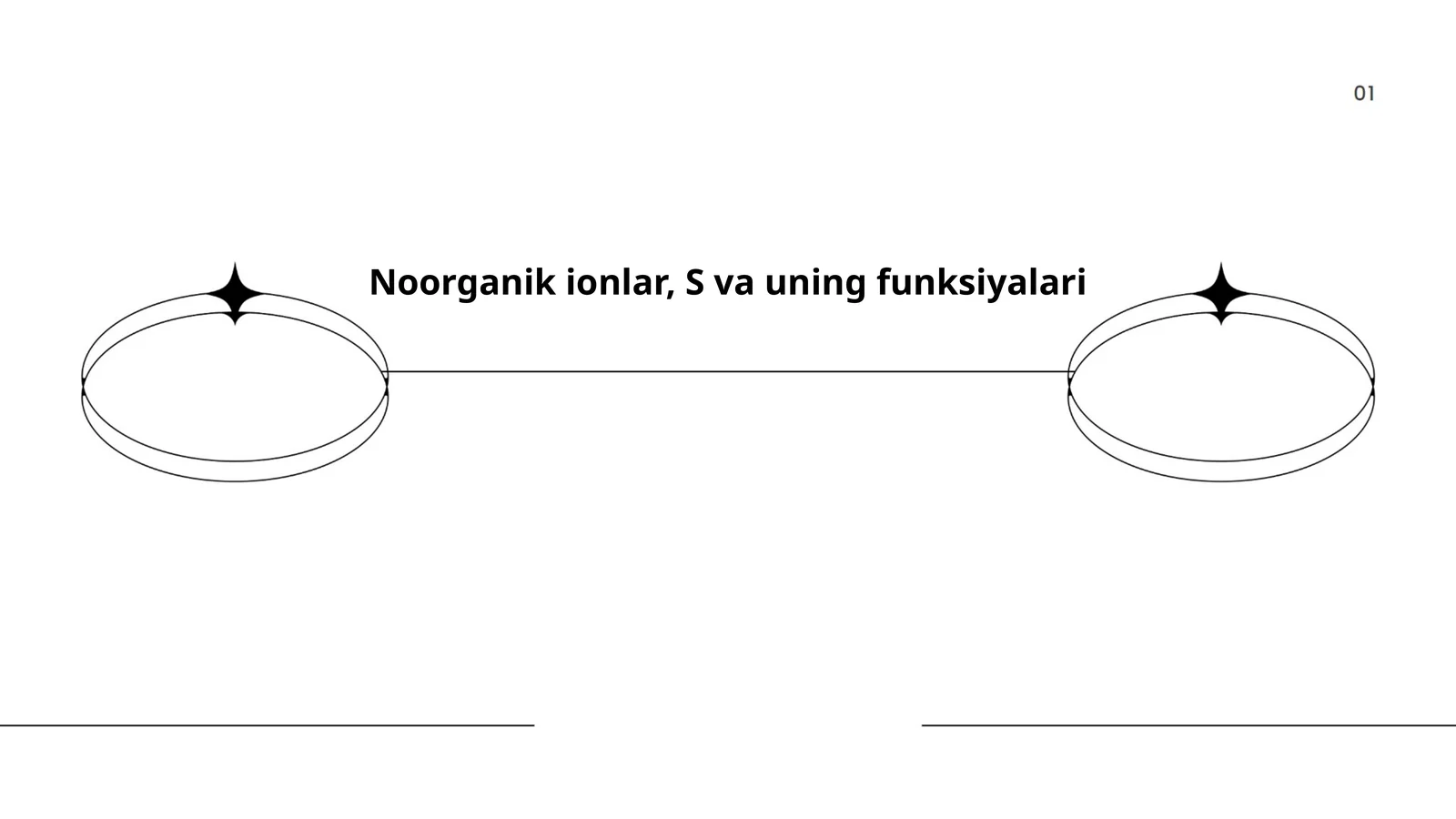 Noorganik ionlar, S va uning funksiyalari