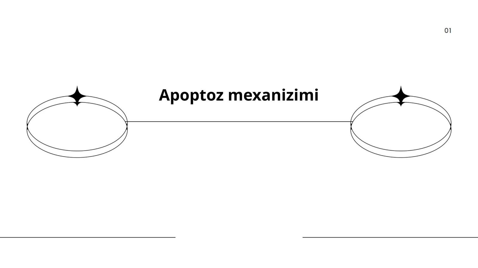 Apoptoz mexanizimi
