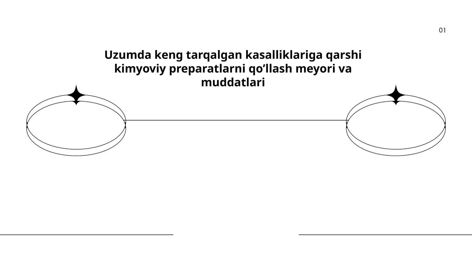 Uzumda keng tarqalgan kasalliklariga qarshi kimyoviy preparatlarni qo’llash meyori va muddatlari