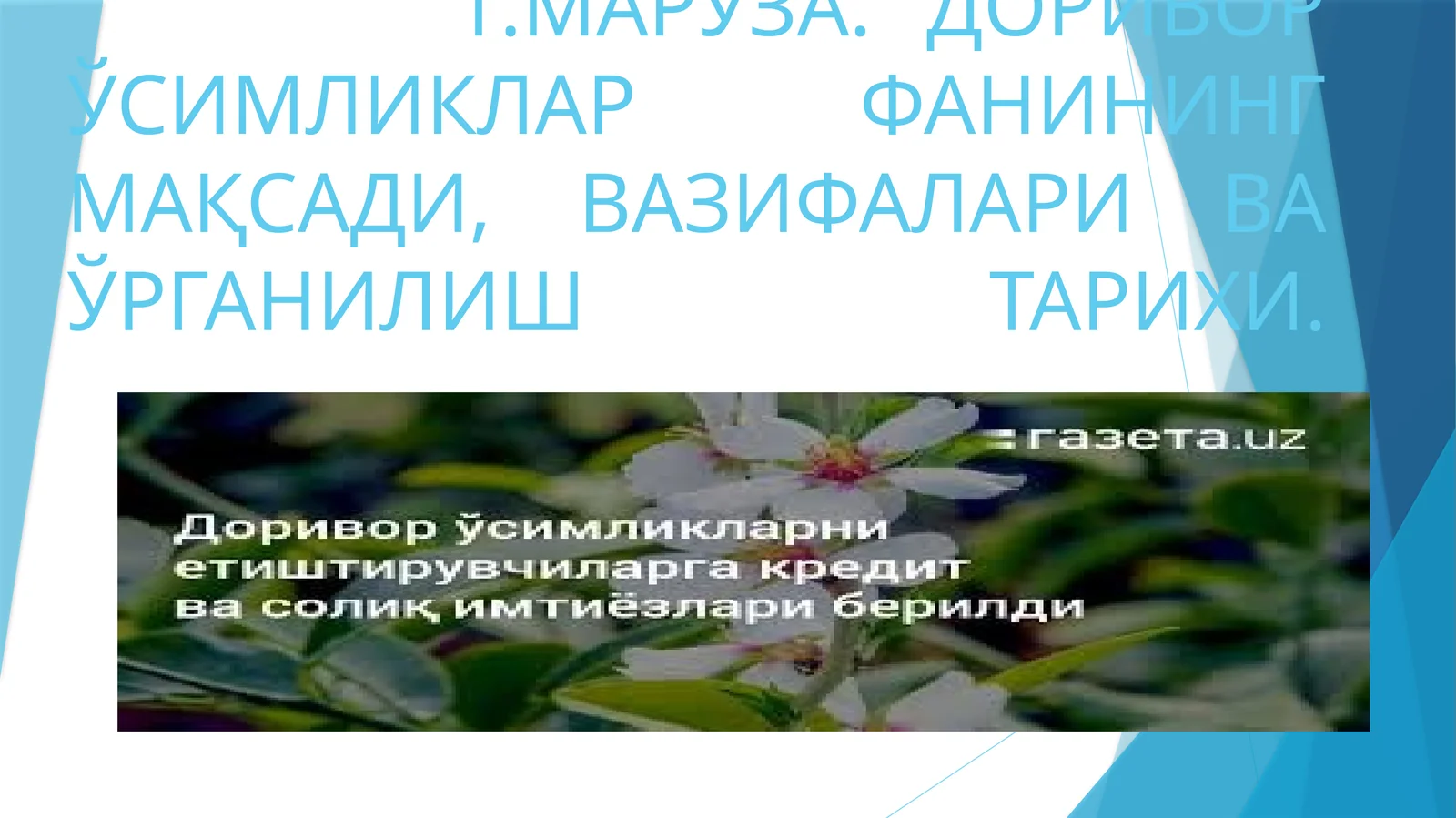 МАРУЗА. ДОРИВОР ЎСИМЛИКЛАР ФАНИНИНГ МАҚСАДИ, ВАЗИФАЛАРИ ВА ЎРГАНИЛИШ ТАРИХИ