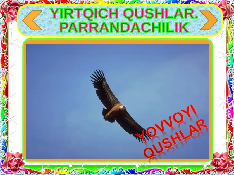 YIRTQICH QUSHLAR. PARRANDACHILIK