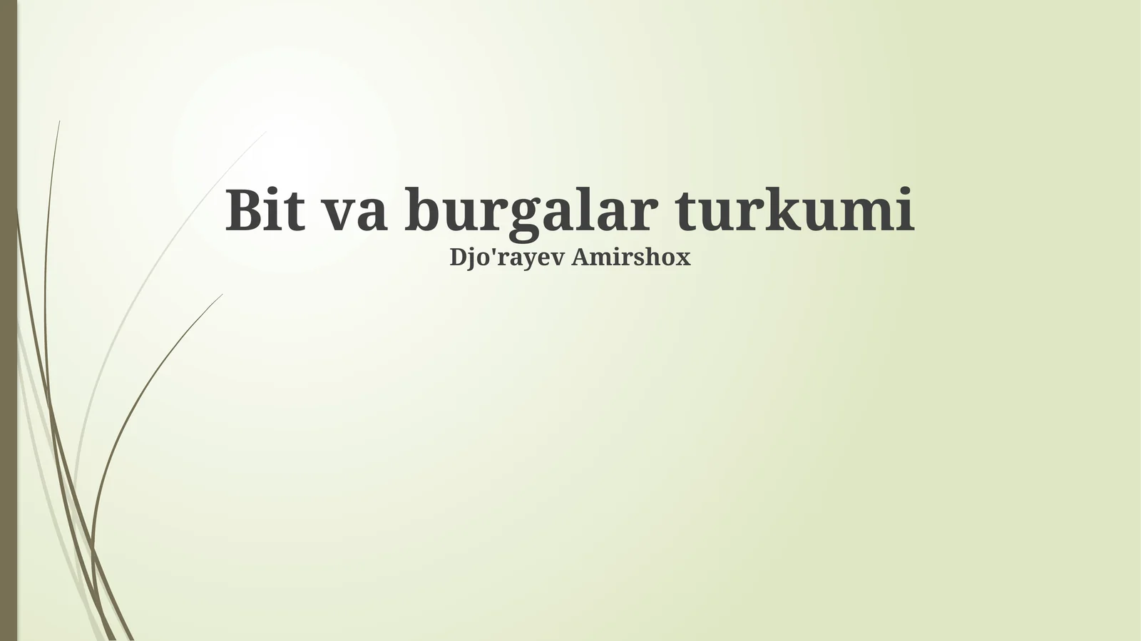 Bit va burgalar turkumi