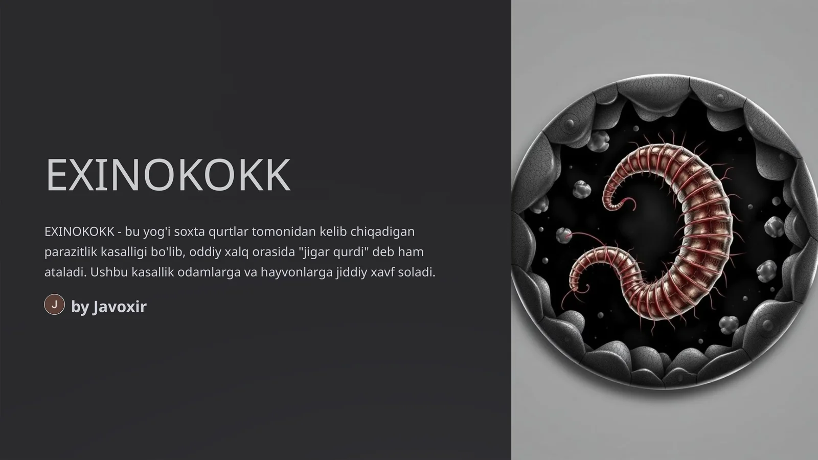 EXINOKOKK