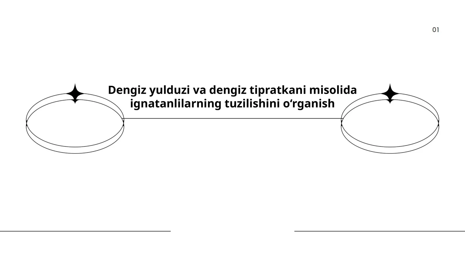 Ignatanlilarning Tuzilishi