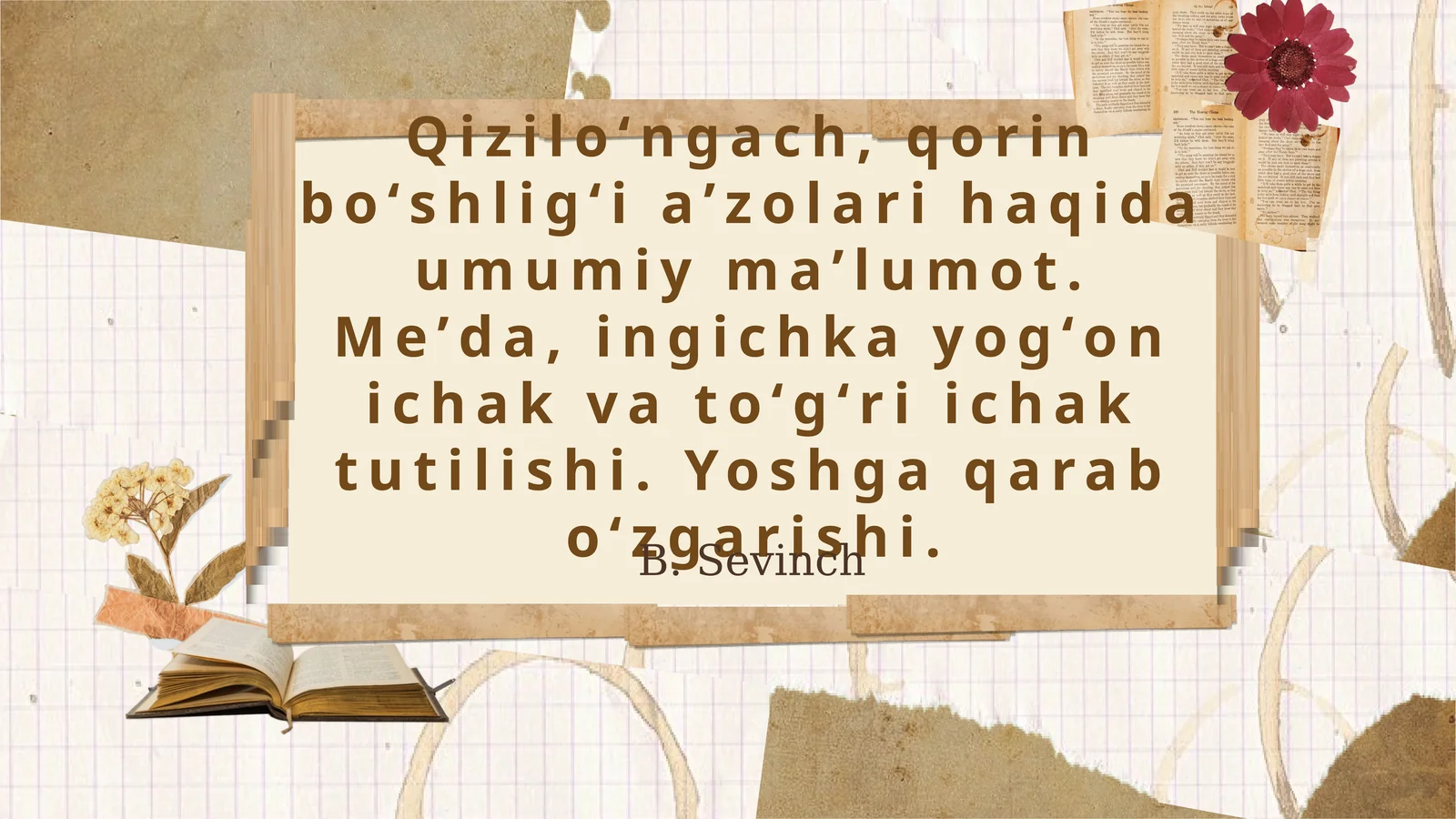 Qiziloʻngach va Qorin Boʻshligʻi Aʼzolari