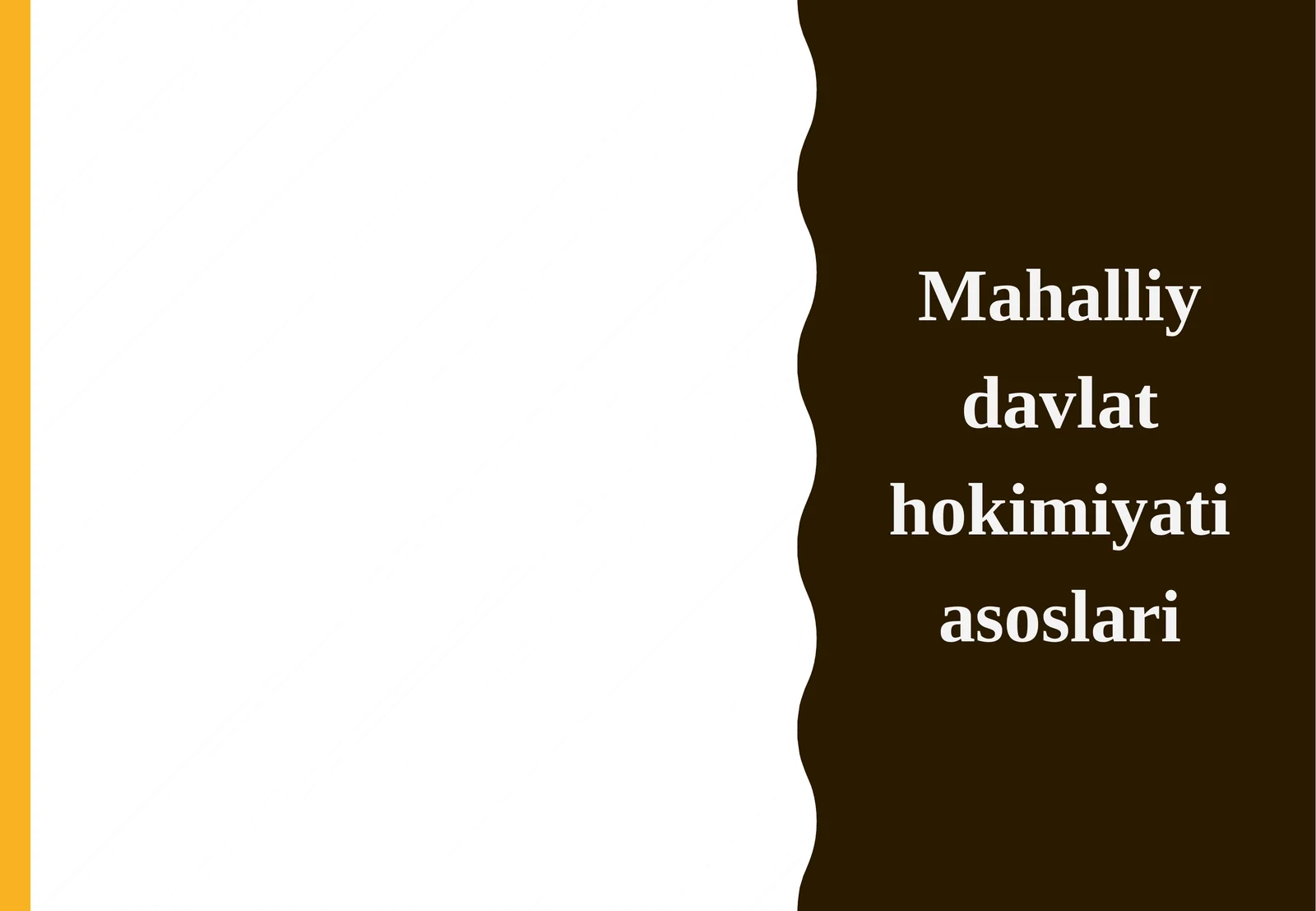 Mahalliy davlat hokimiyati asoslari.