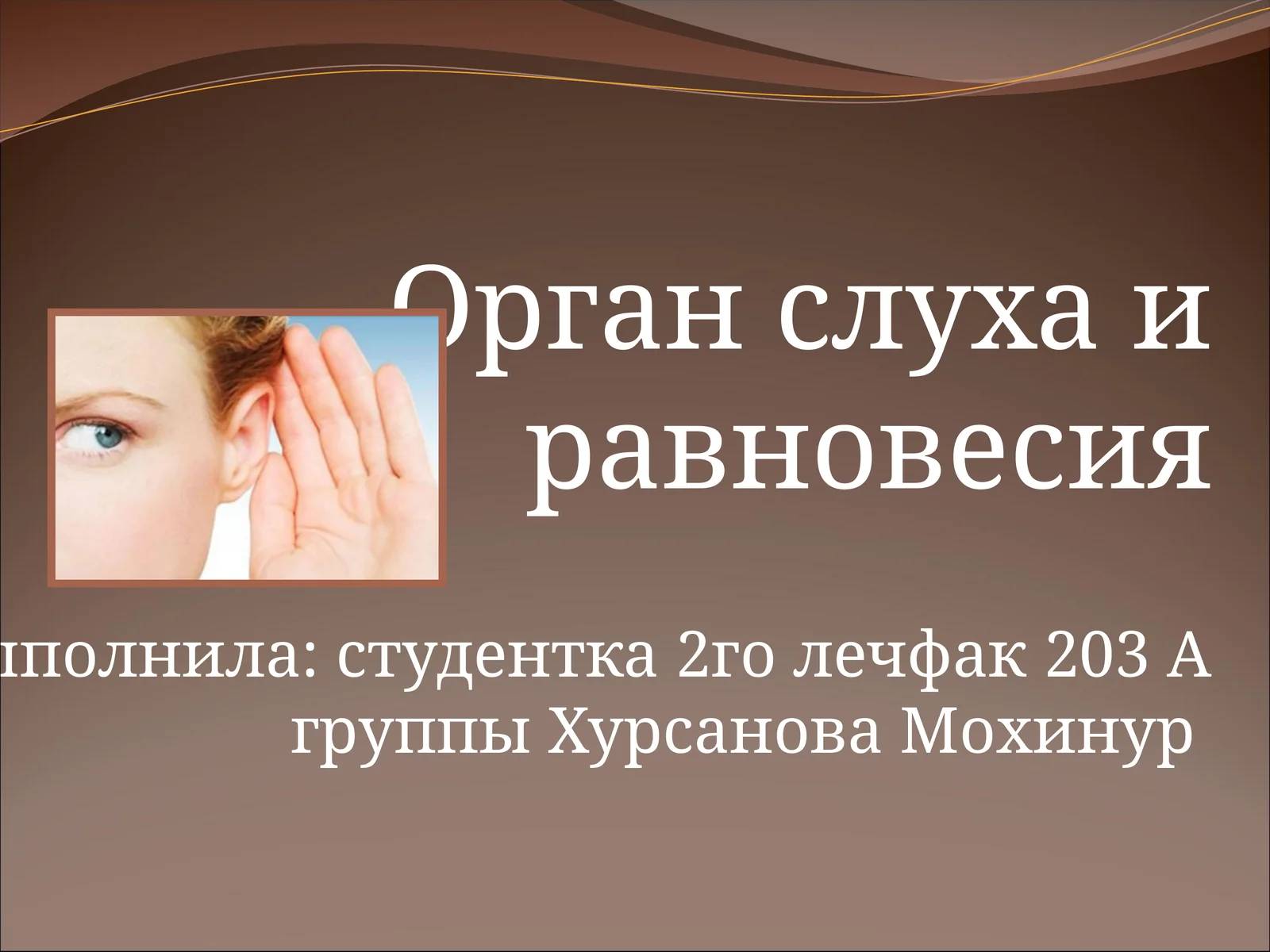 Орган слуха и равновесия