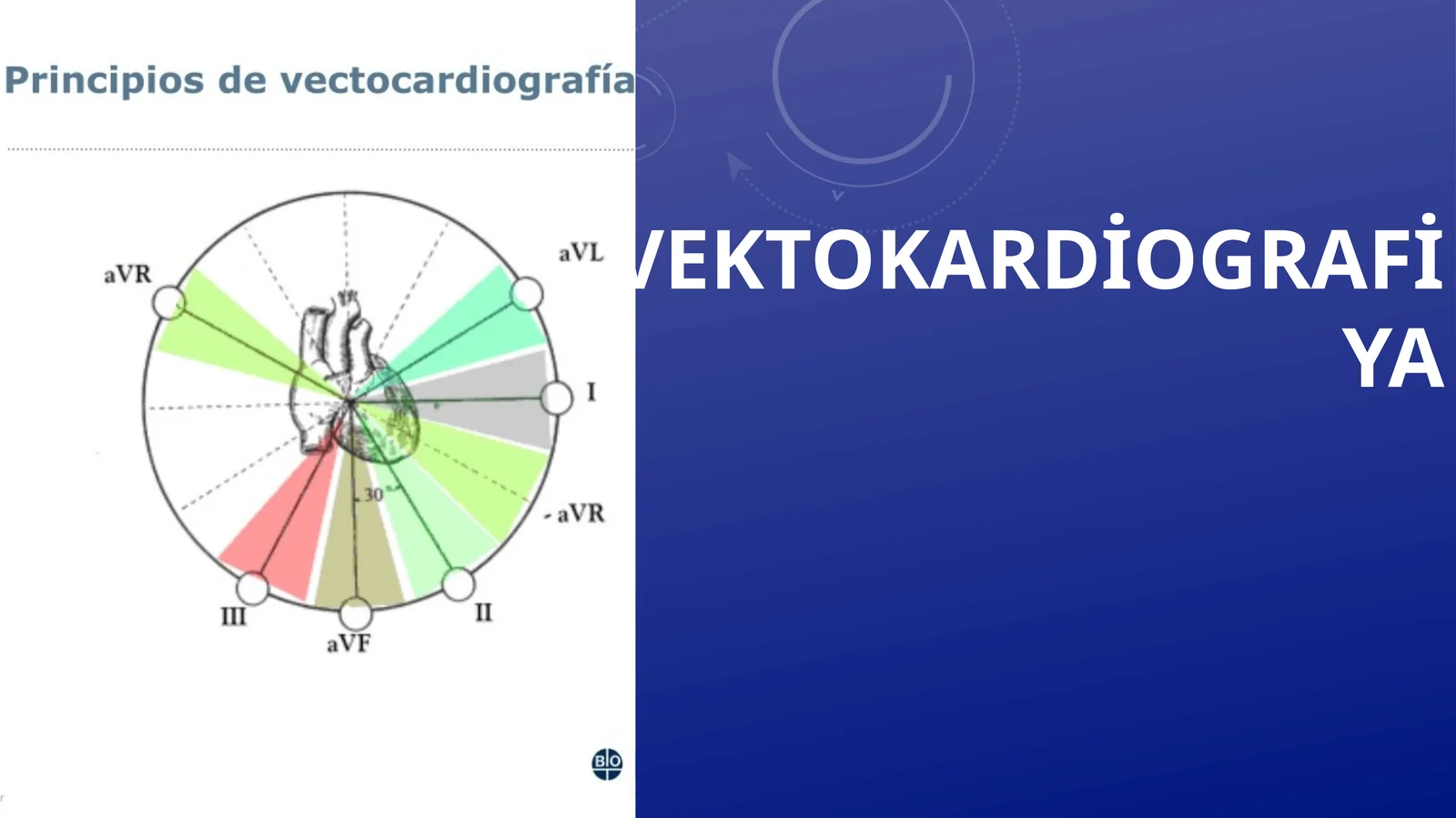 Vektokardiografiya