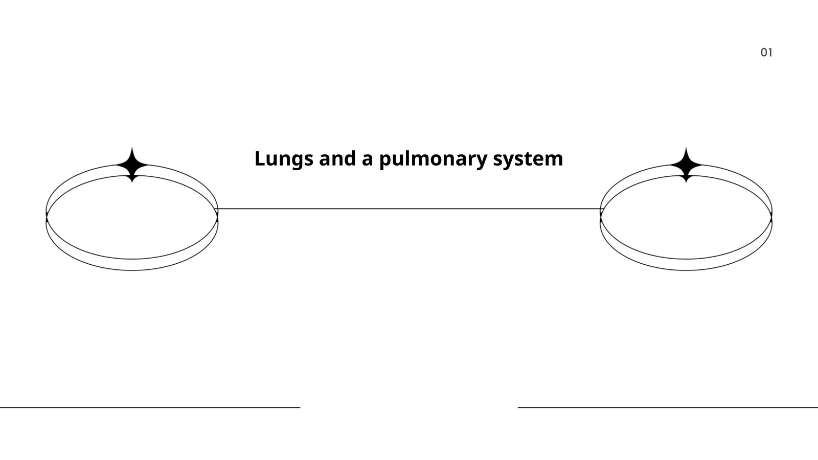 Lungs and a pulmonary system
