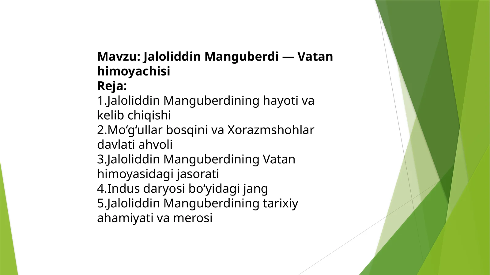 Jaloliddin Manguberdi — Vatan himoyachisi