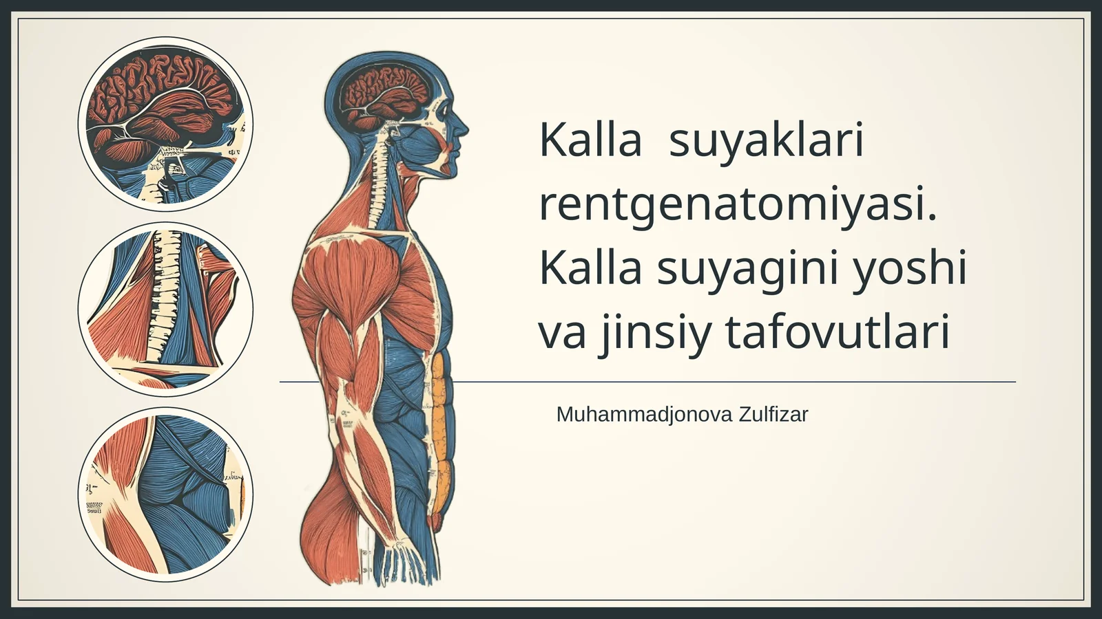 Kalla suyaklari rentgenatomiyasi