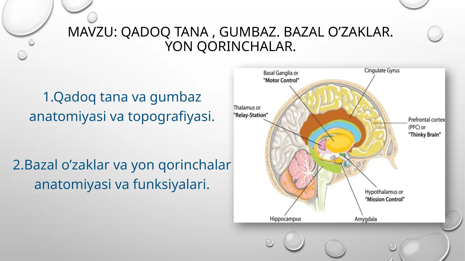 Qadoqtana,gumbaz.Bazalo’zaklar.Yonqorinchalar