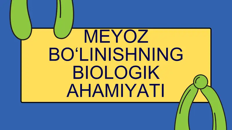 MEYOZ BO‘LINISHNING BIOLOGIK AHAMIYATI