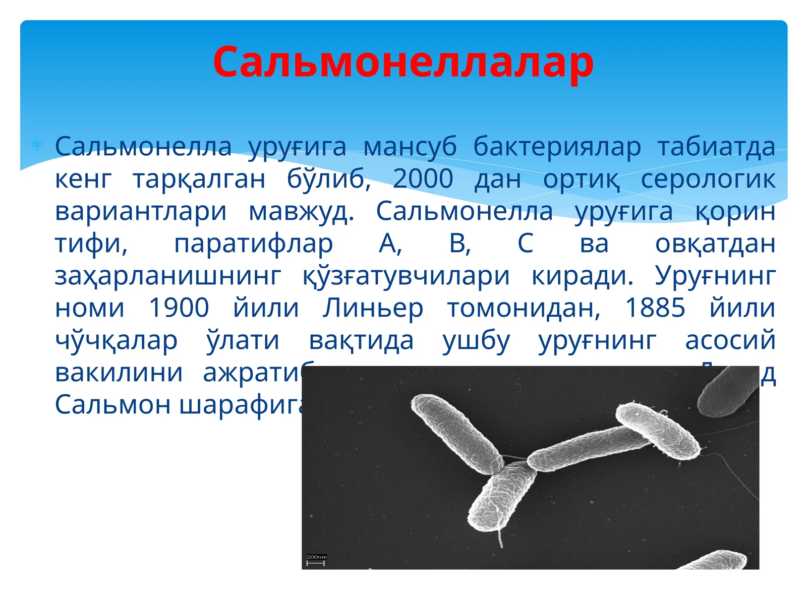Сальмонеллалар