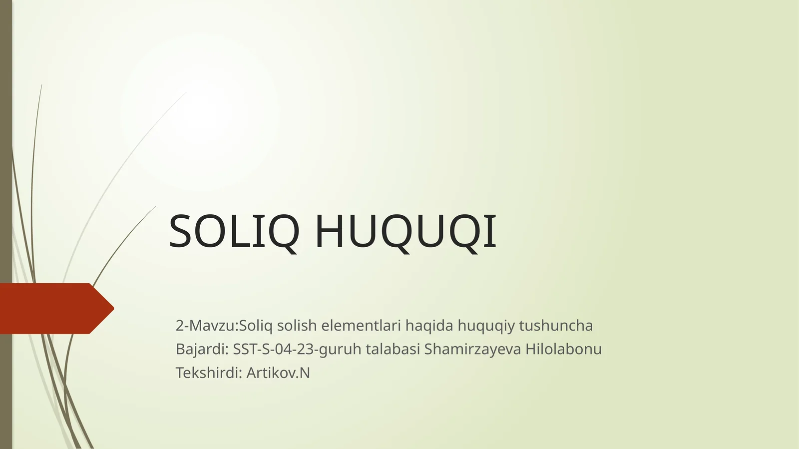 Soliq huquqi