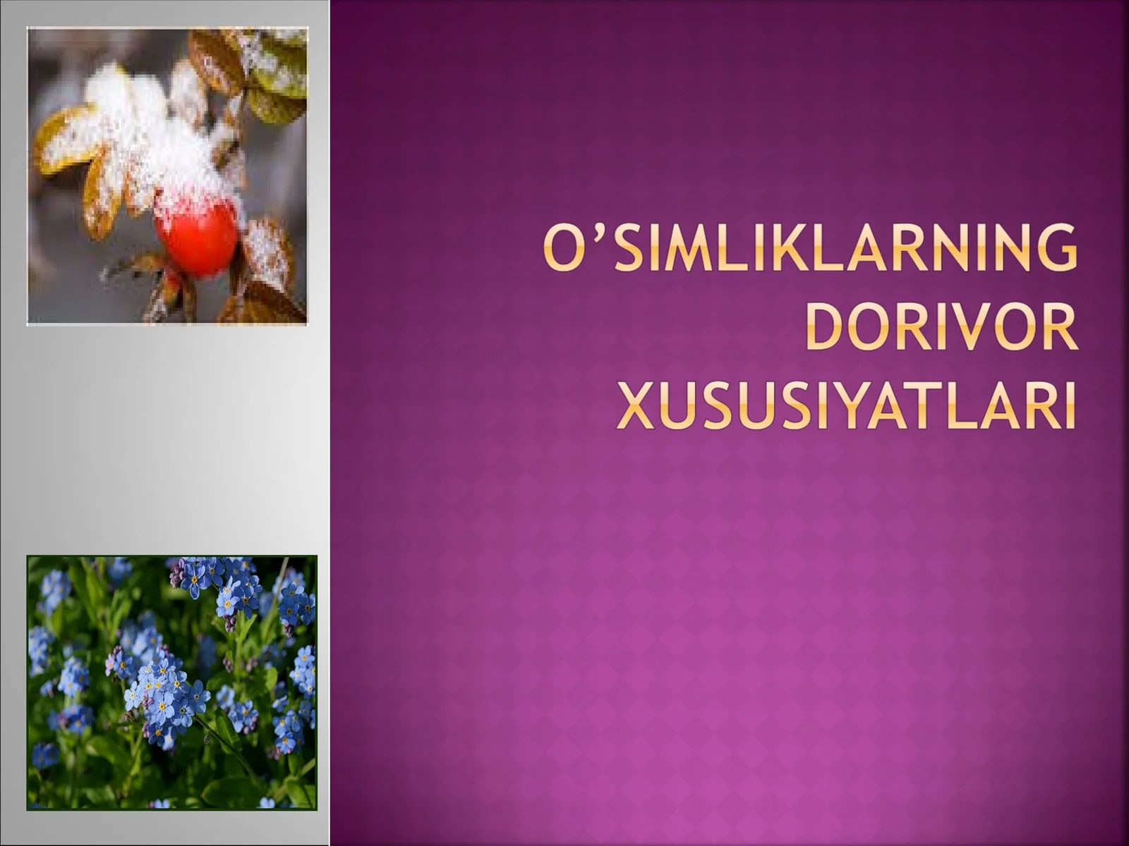 Tib qonunlari