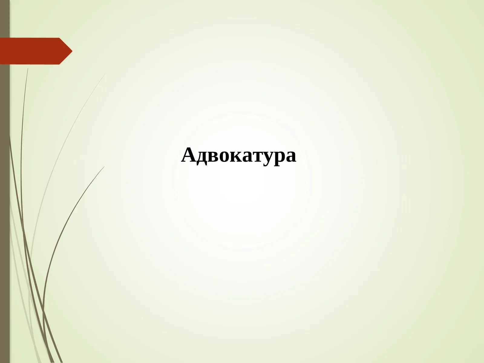 Адвокатура