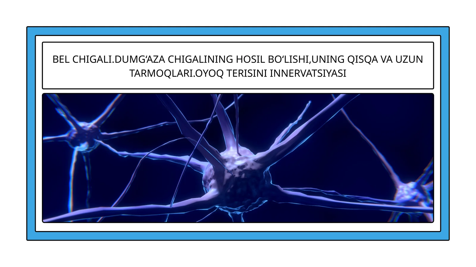 Bel chigali (Plexus lumbalis)