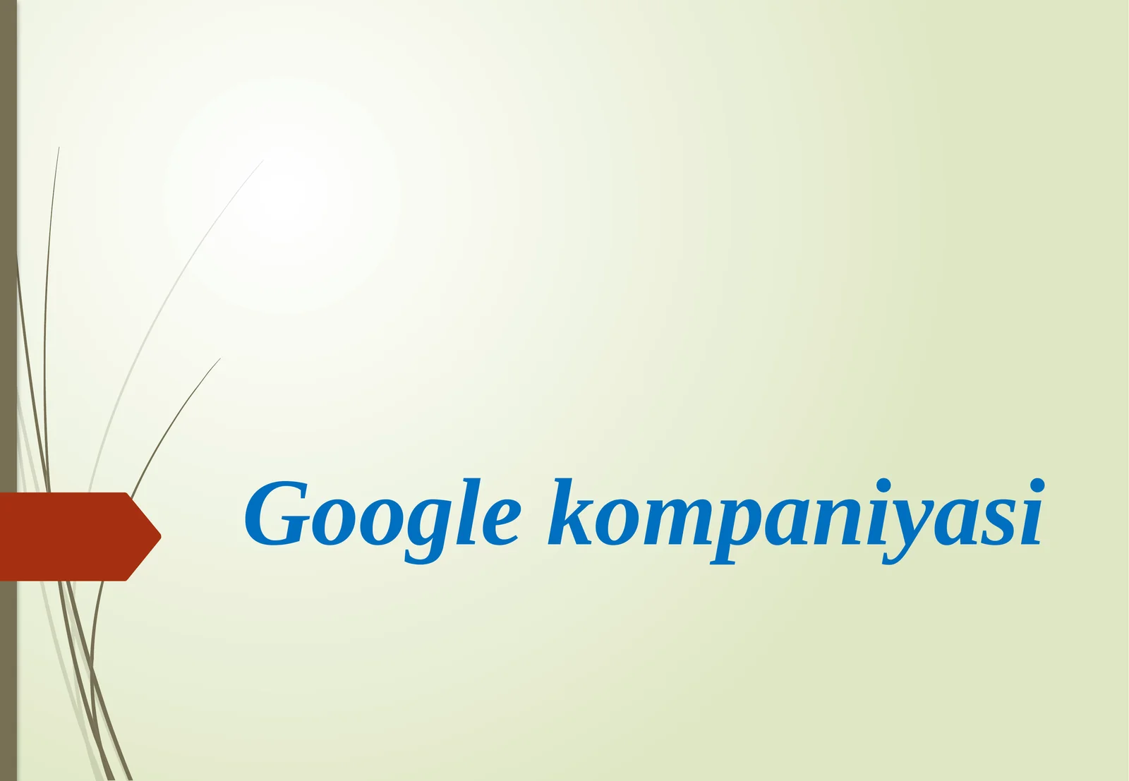 Google kompaniyasi