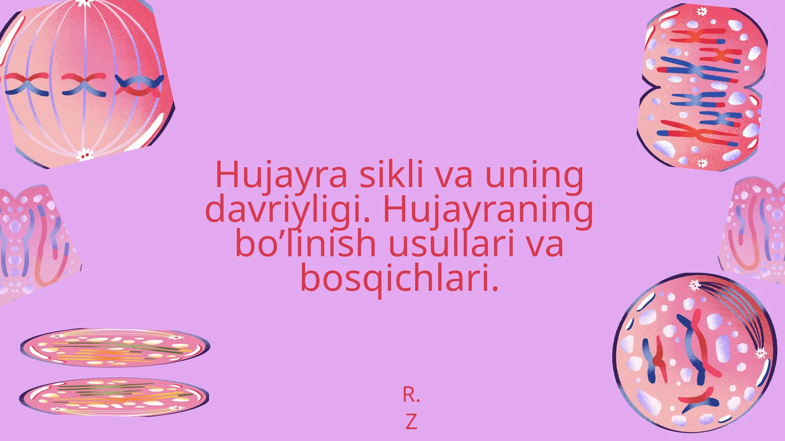 Hujayra siklidan prezentatsiya