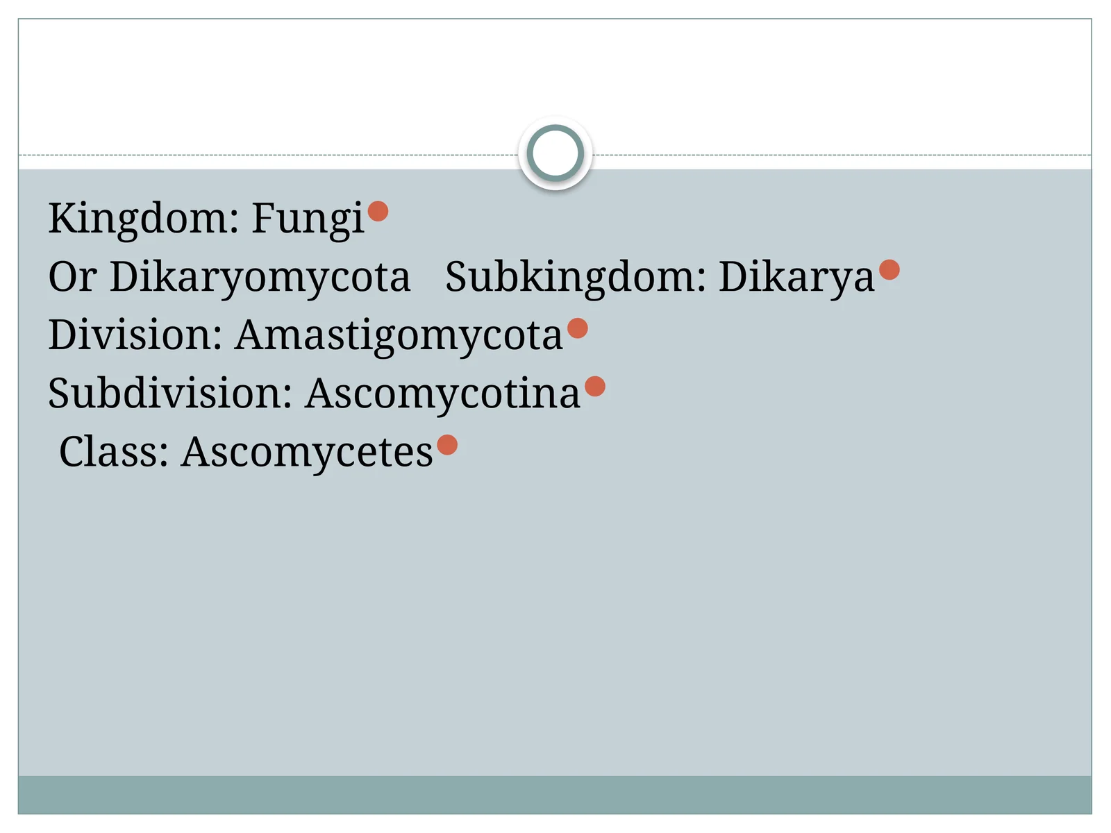 Ascomycetes