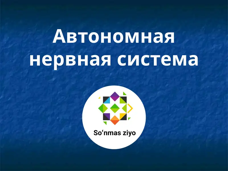 Автономная нервная система