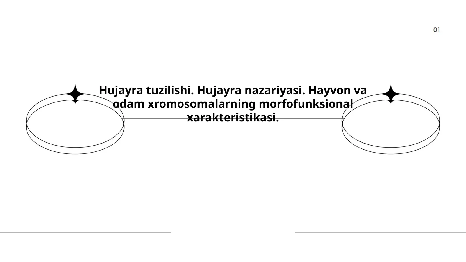 Hujayra tuzilishi. Hujayra nazariyasi. Hayvon va odam xromosomalarning morfofunksional xarakteristikasi
