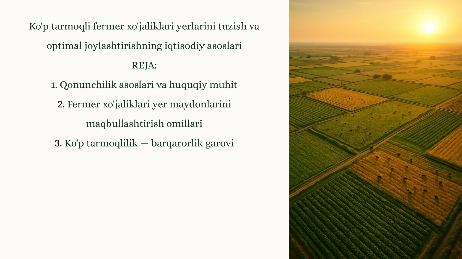 Ko'p tarmoqli fermer xo'jaliklari yerlarini tuzish va optimal joylashtirishning iqtisodiy asoslari