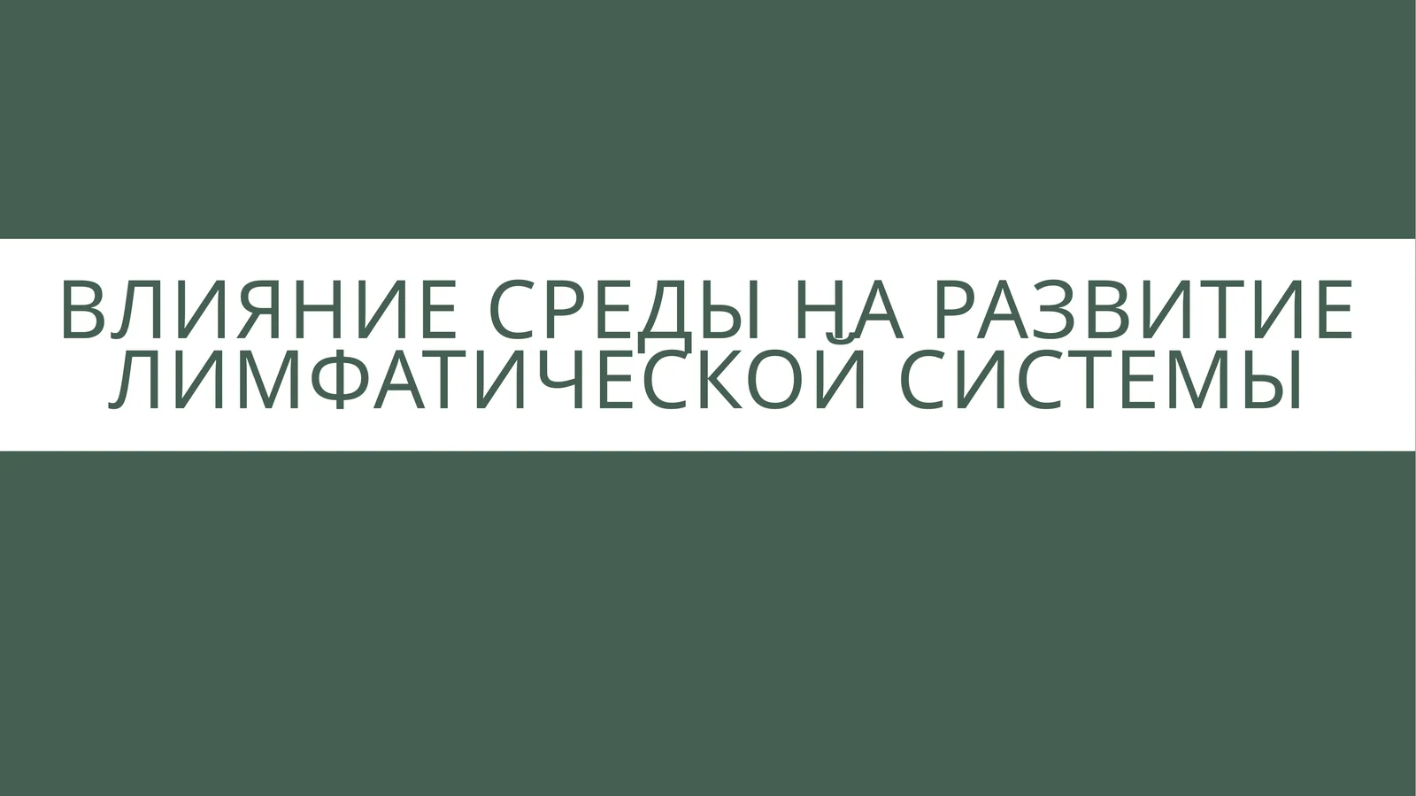 Презентация: Влияние социальной и биологической среды на развитие и структуру лимфатических сосудов(15слайдов, PPTX)