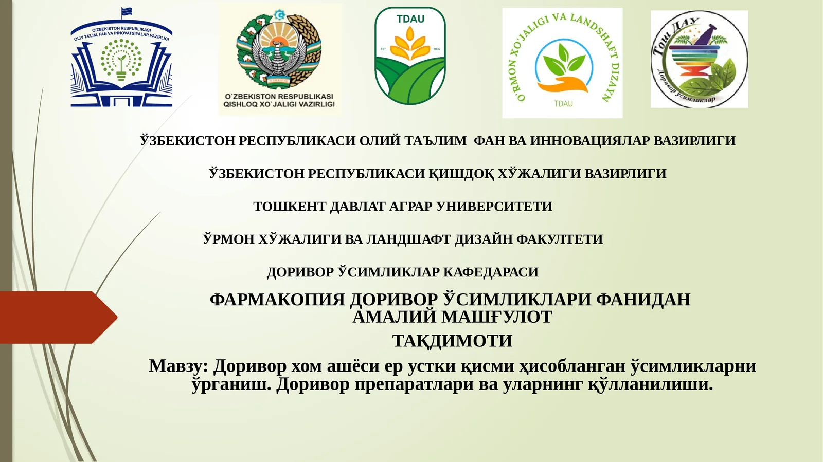 Доривор хом ашёси ер устки қисми ҳисобланган ўсимликларни ўрганиш. Доривор препаратлари ва уларнинг қўлланилиши.