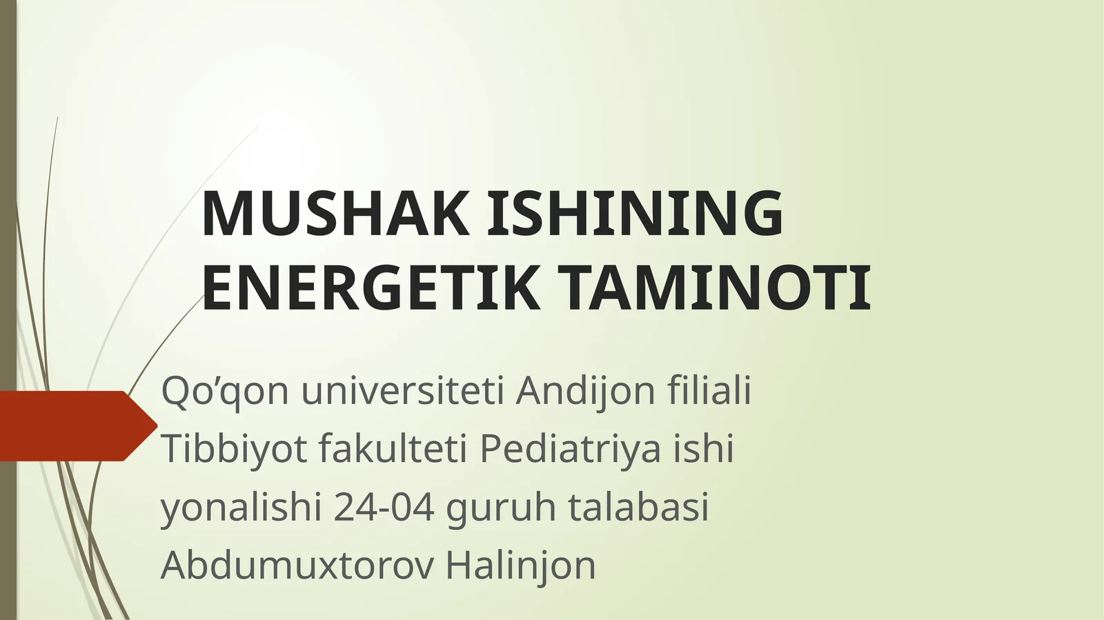MUSHAK ISHINING ENERGETIK TAMINOTI