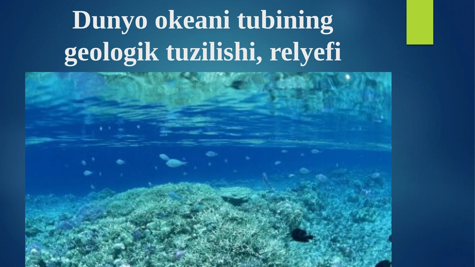 Okeantublari va tortishlari