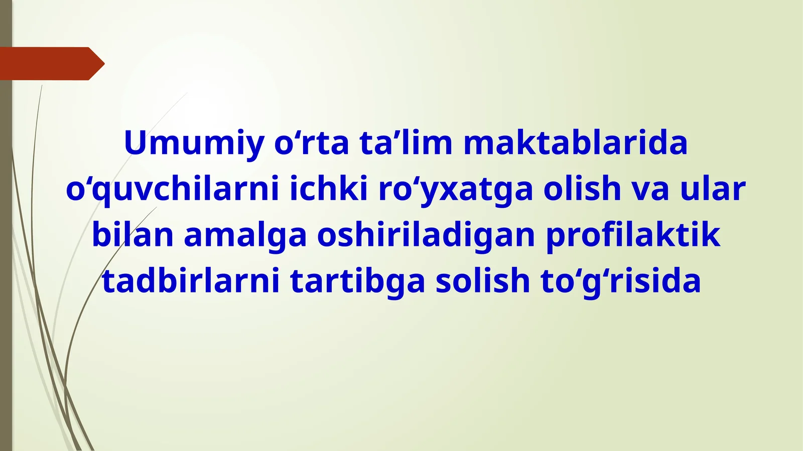 Umumiy o‘rta ta’lim maktablarida o‘quvchilarni ichki ro‘yxatga olish va ular bilan amalga oshiriladigan profilaktik tadbirlarni tartibga solish to‘g‘risida
