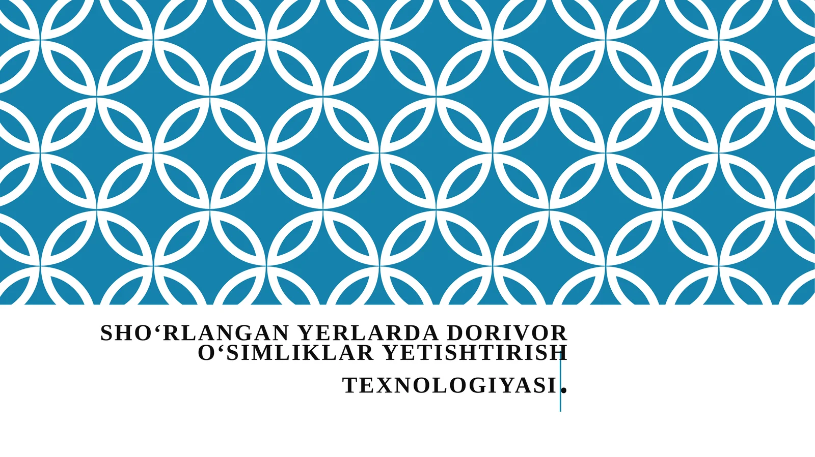 Sho'rlangan yerlarda dorivor o'simliklar yetishtirish texnalogiyasi