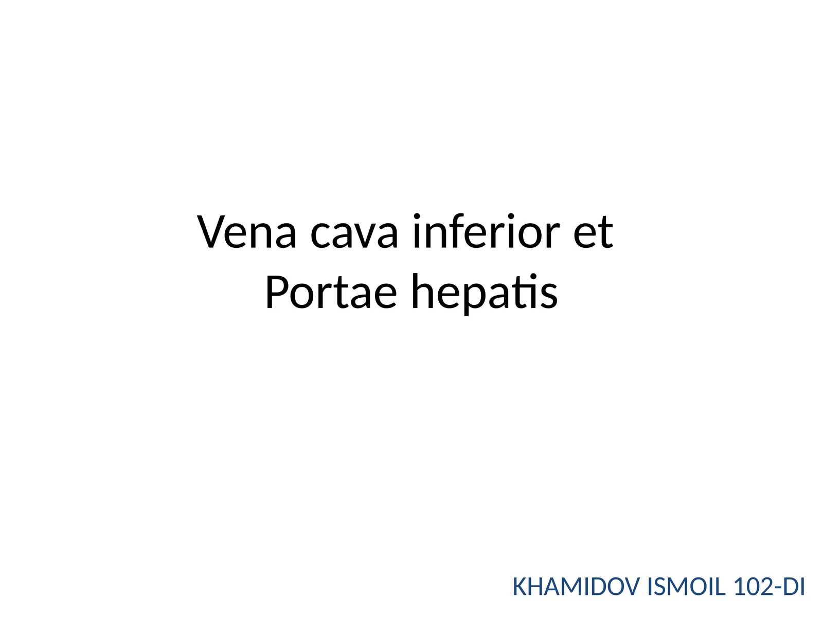 Vena cava inferior etPortaehepatis